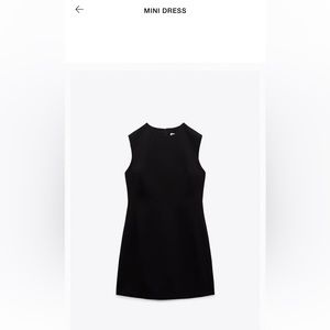 ZARA Mini Dress